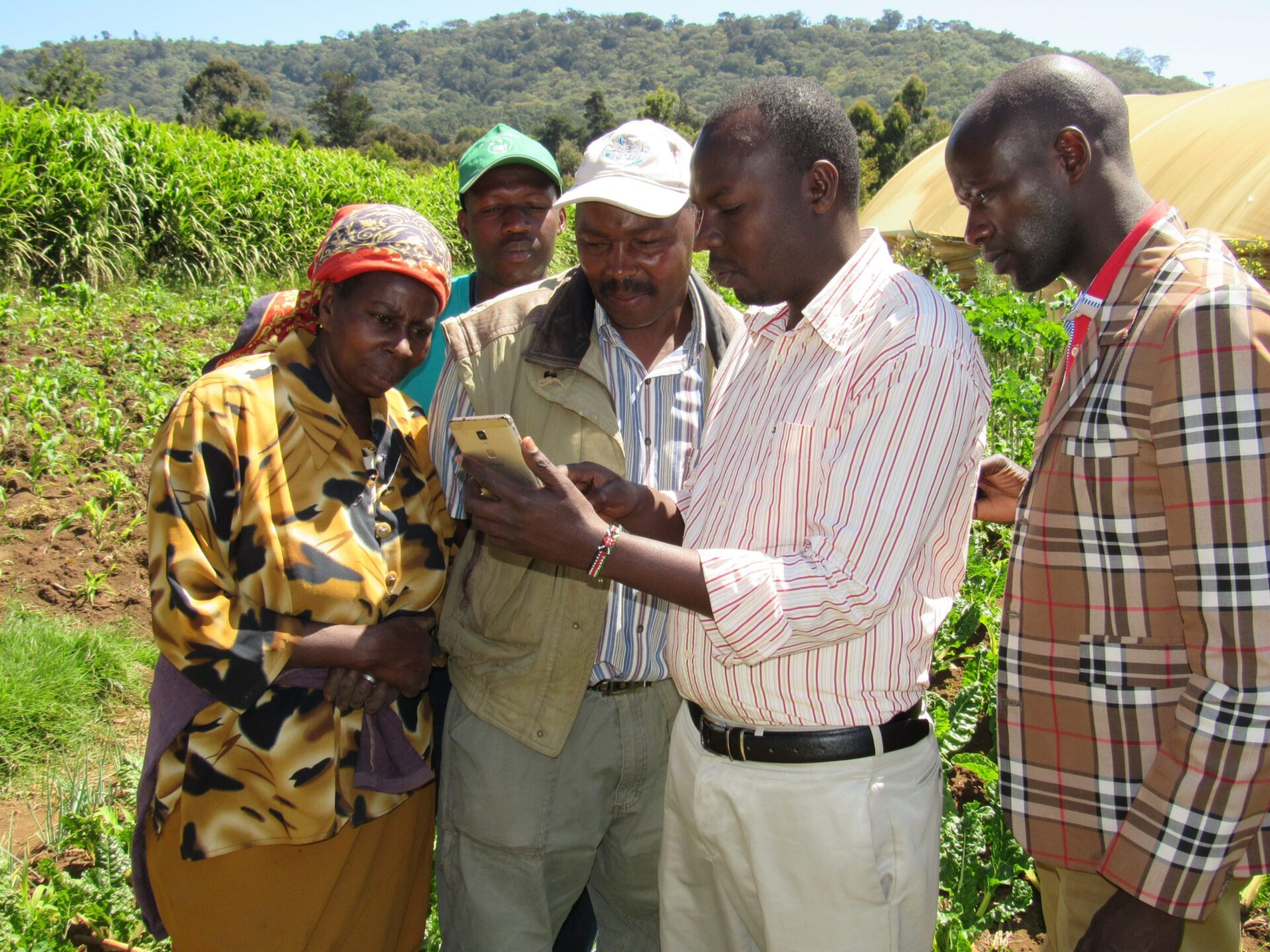 A group of men and women are looking a phone together.