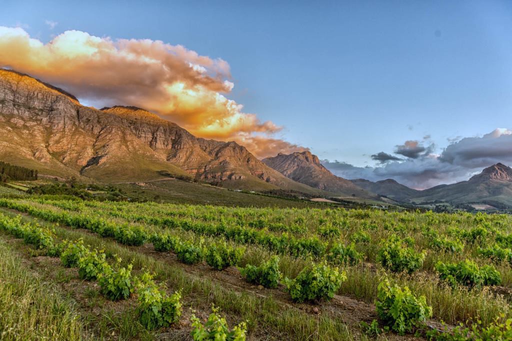 Landscape image of a a crop field with mountains in the background