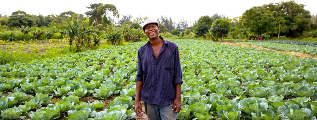 Man standing in a field