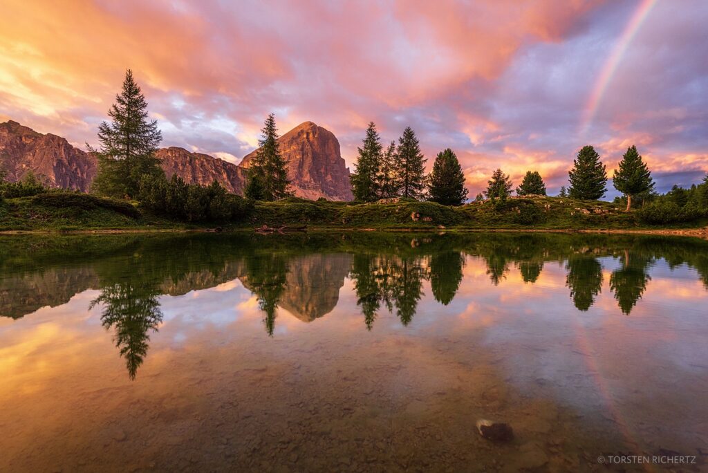 Landscape photo of a lake and pine trees