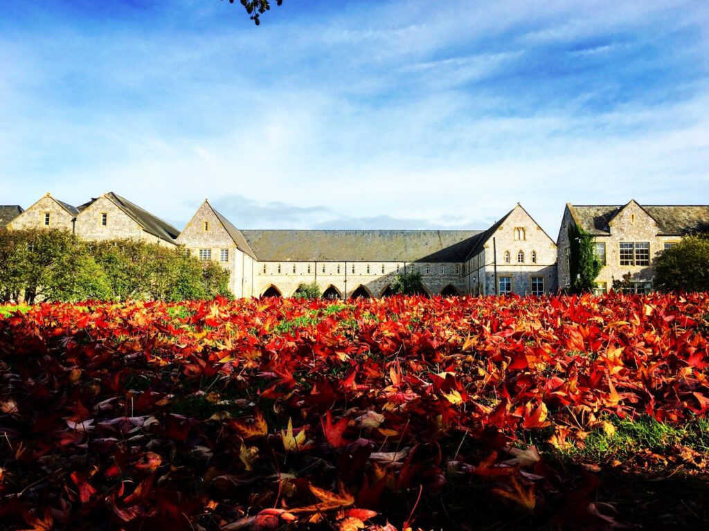 Image of the University of Exeter