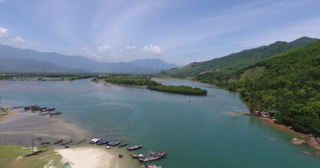 One of the restored mangrove areas Phu Loc, Vietnam.