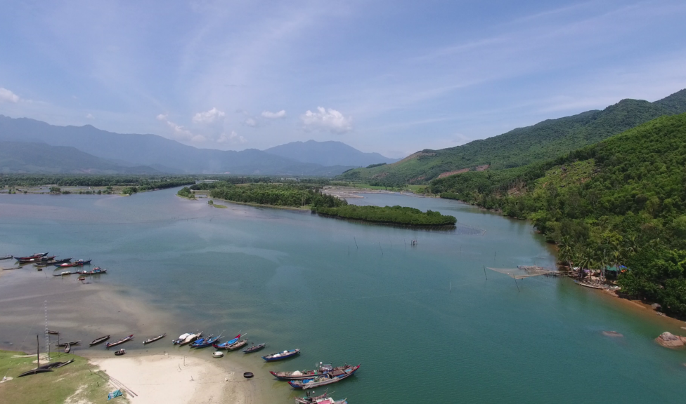 One of the restored mangrove areas Phu Loc, Vietnam.